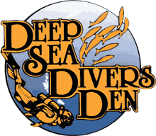 DSSD Logo
