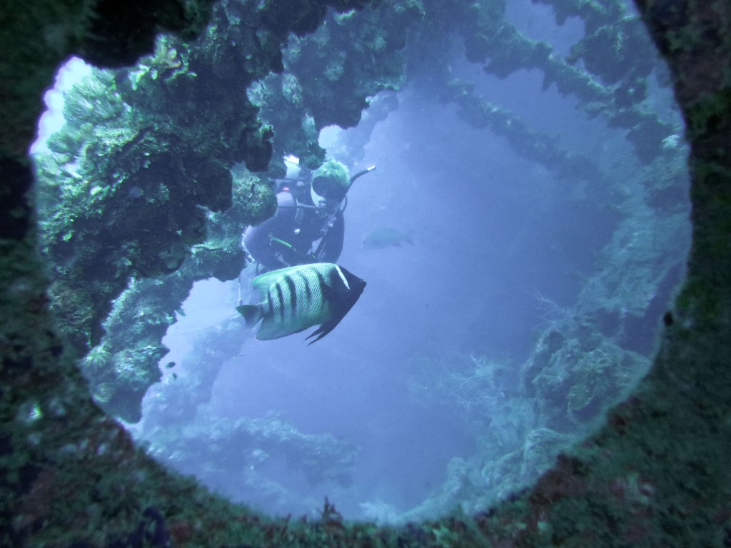 blog plongee grande barriere de corail yongala epave