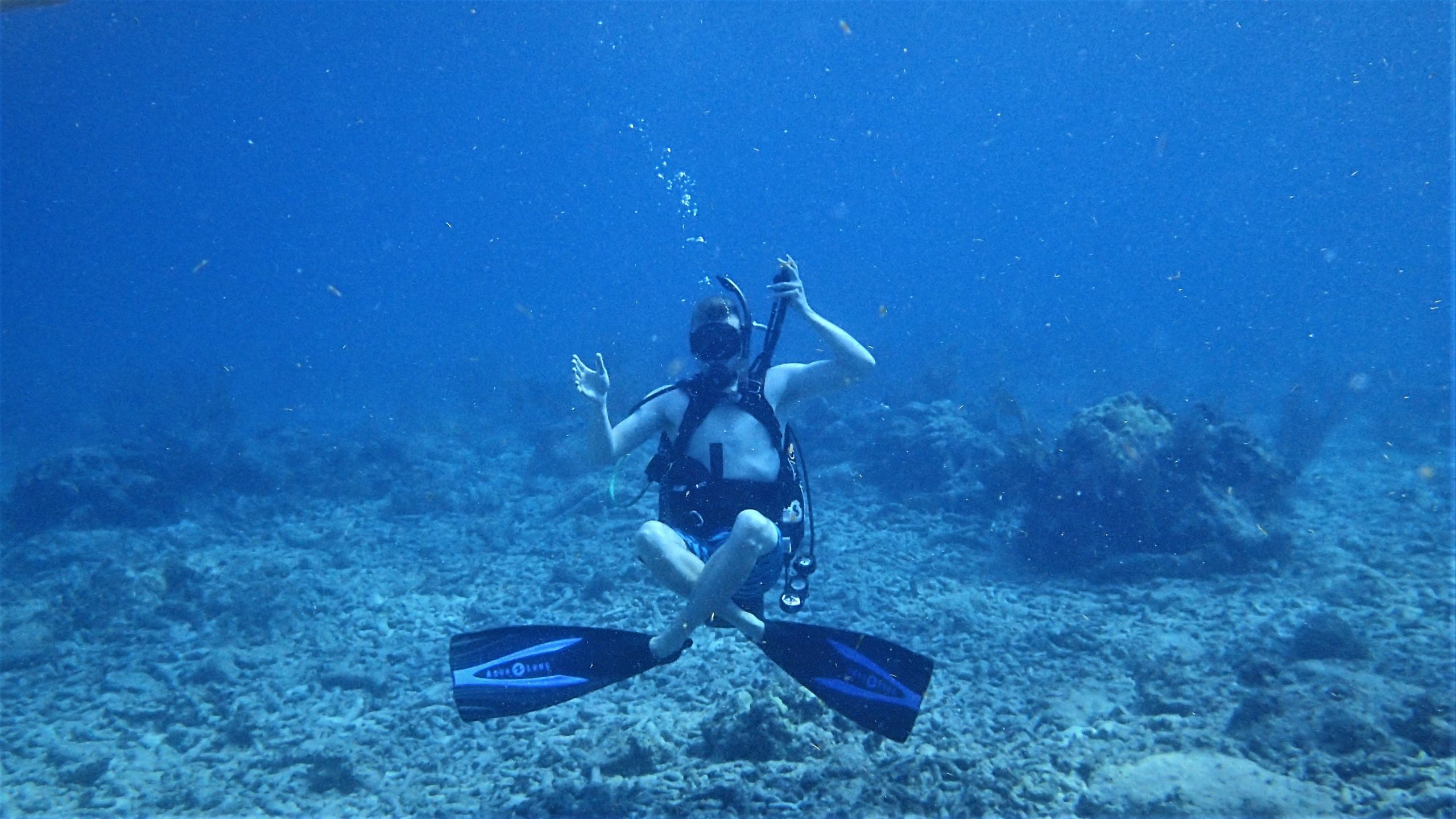 Plongée en Corse : Découvrez les meilleurs sites de plongée et quand les visiter