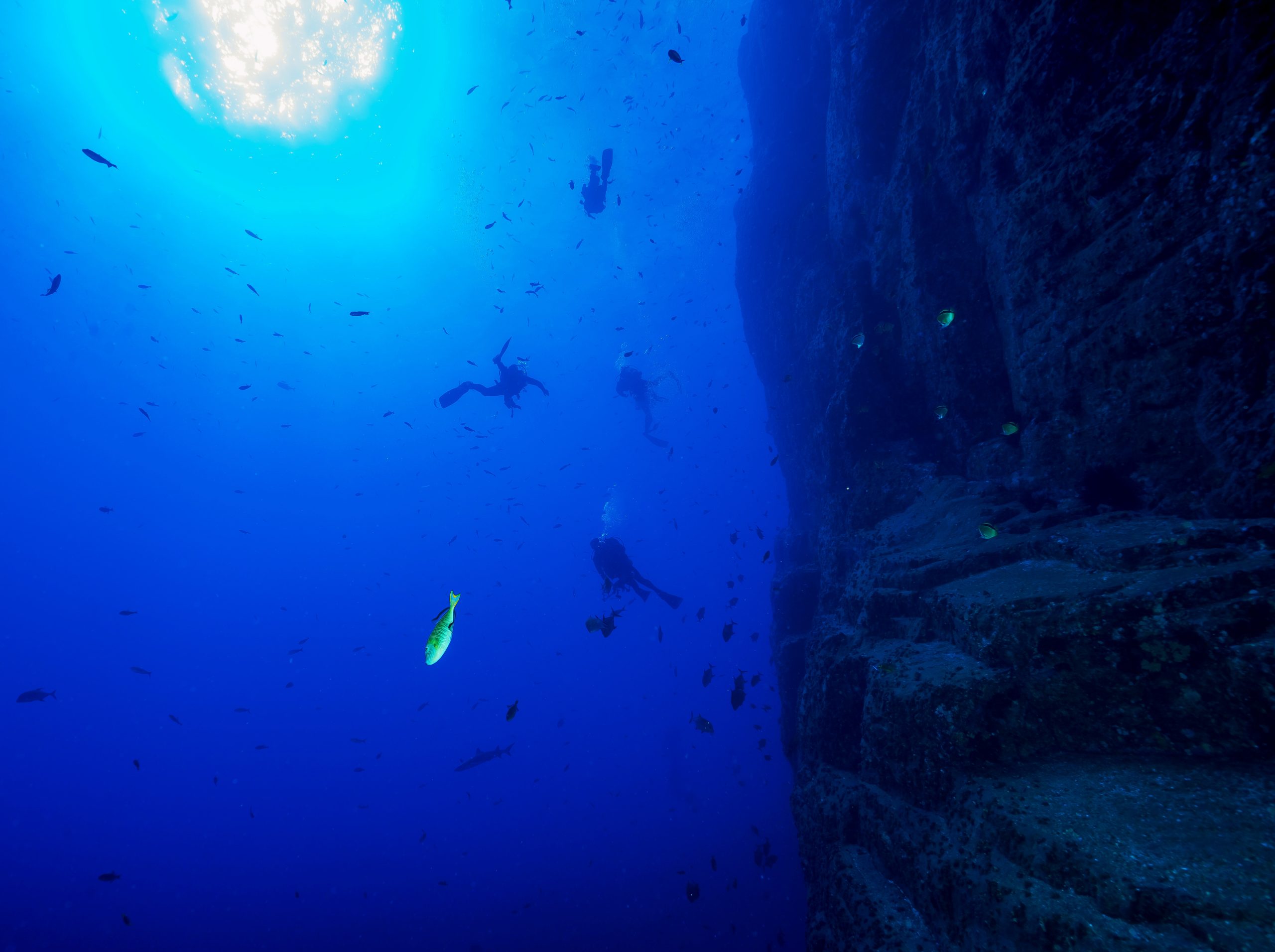 Explorer les profondeurs de l’Espagne : Un guide des meilleurs sites de plongée sous-marine du pays