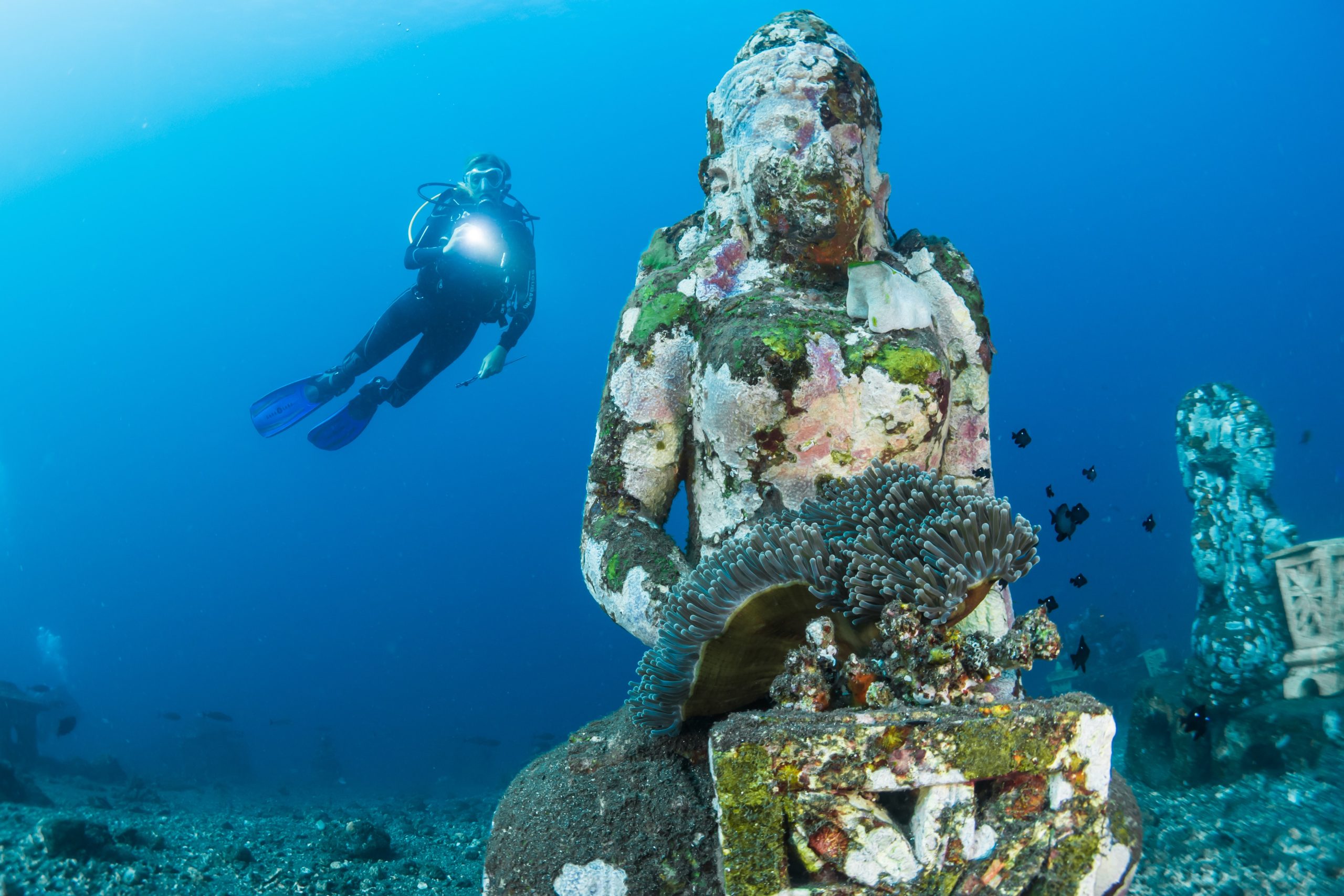 Explorer les meilleurs sites de plongée en Indonésie : Un guide pour les amateurs de plongée sous-marine