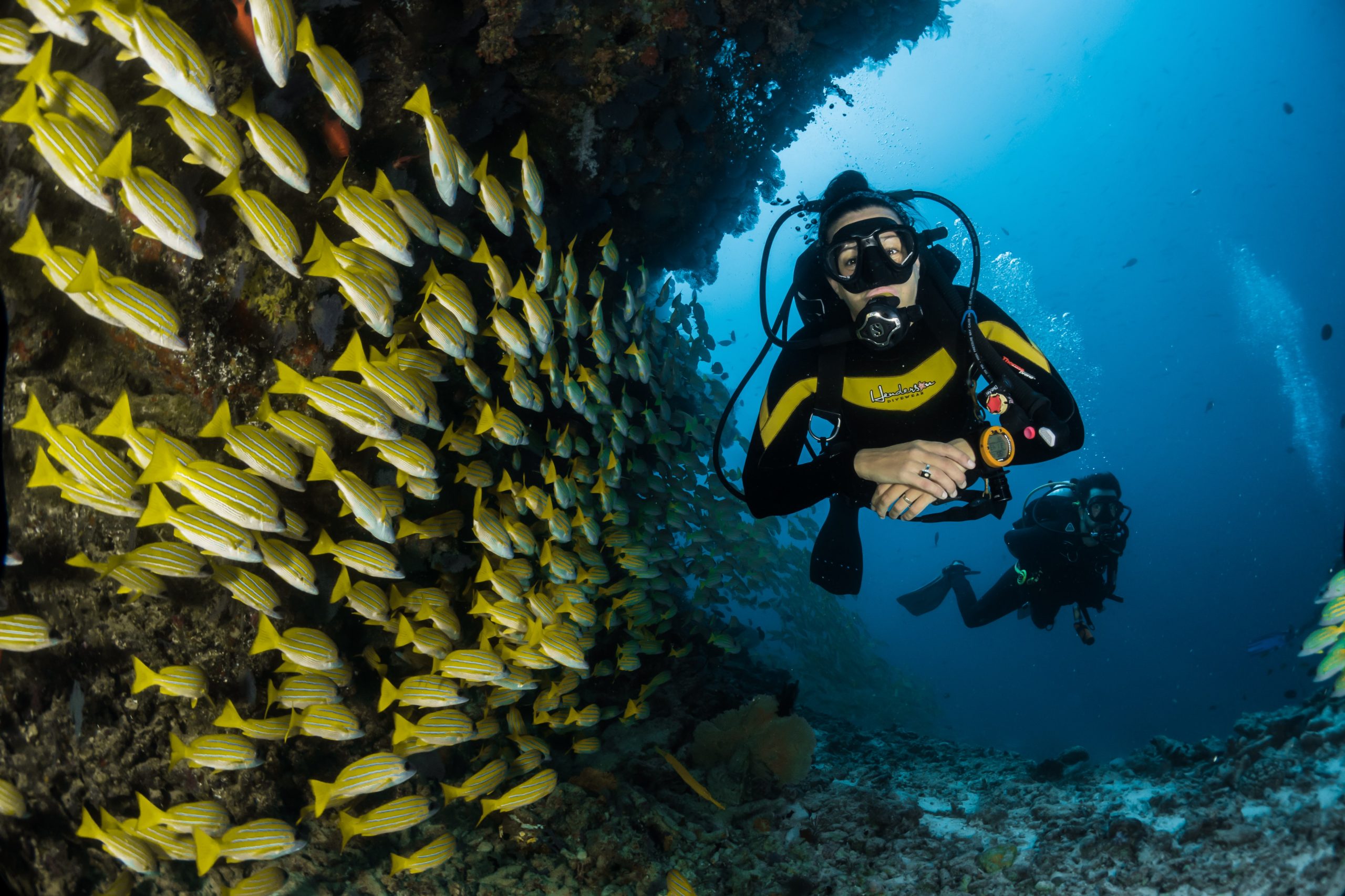 Un guide des meilleurs sites de plongée sous-marine du Mexique : Une expérience inoubliable !
